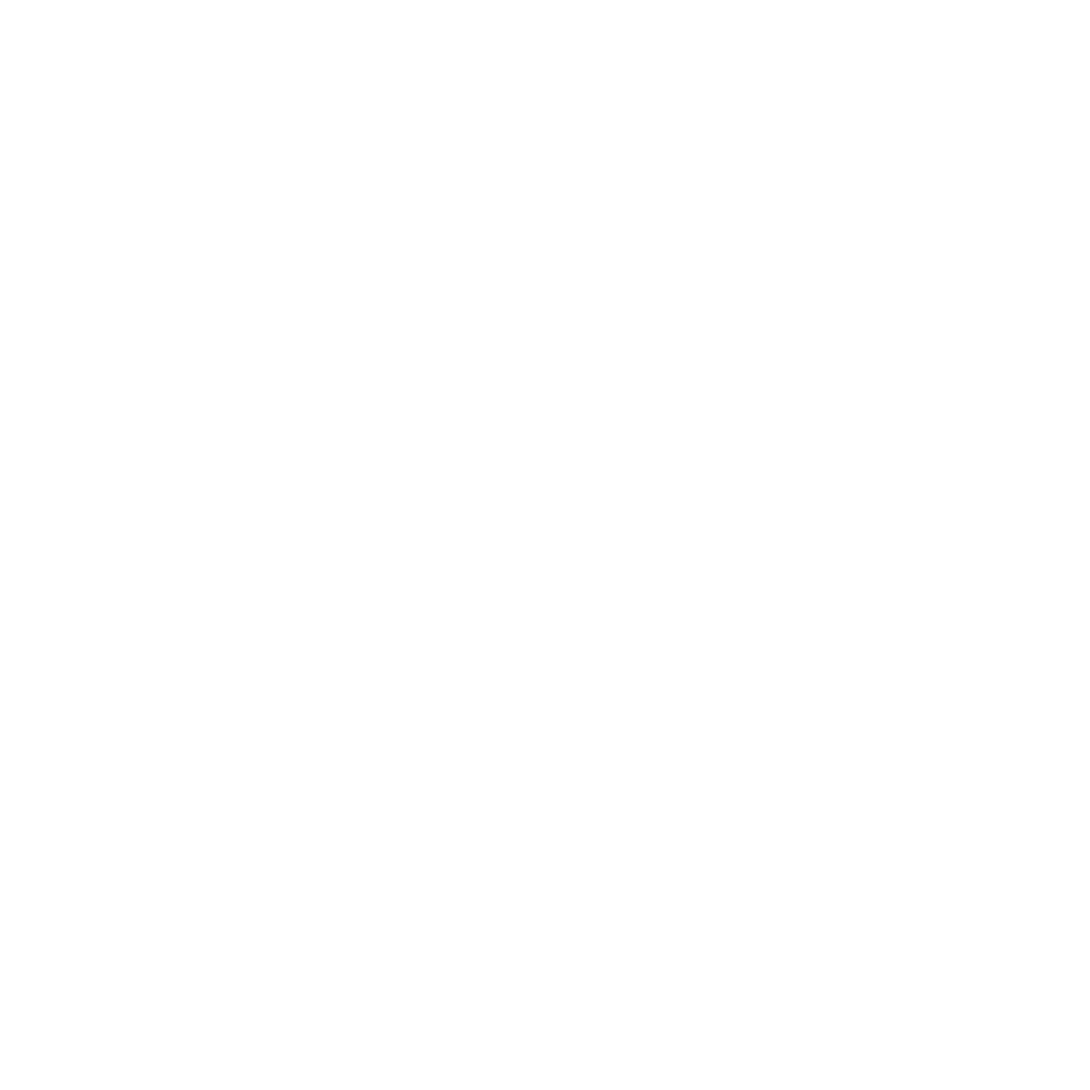 Logo Connexxion